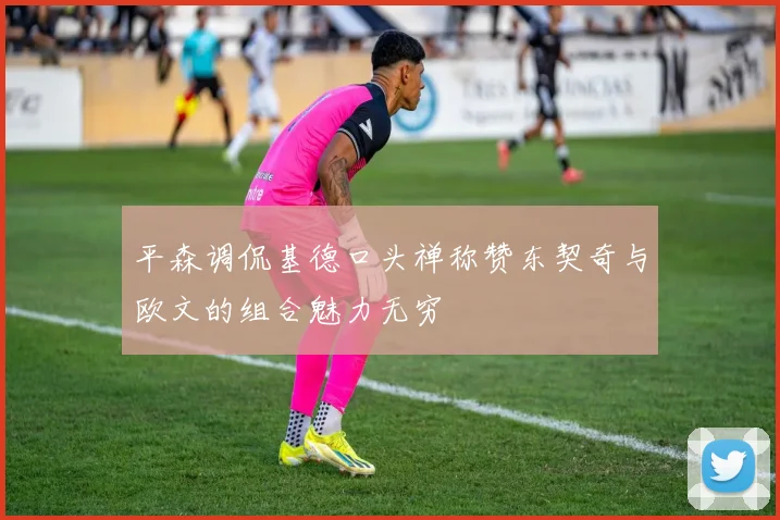 平森调侃基德口头禅称赞东契奇与欧文的组合魅力无穷