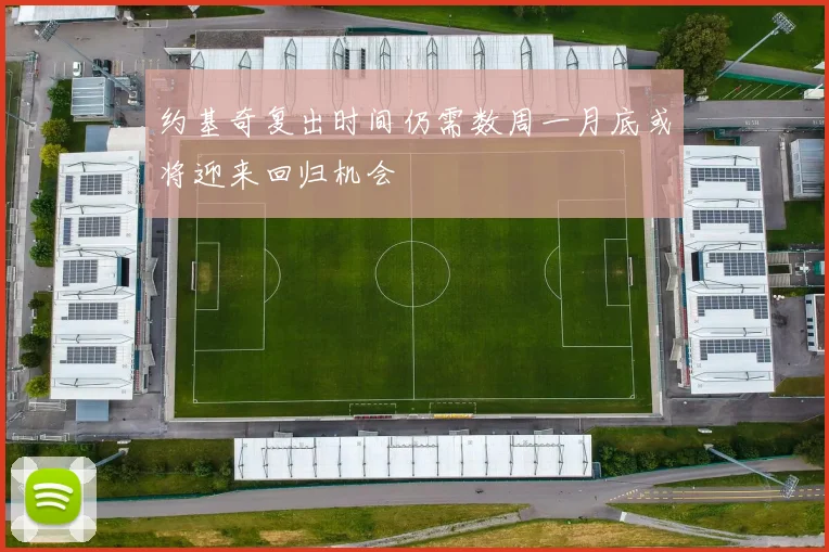 约基奇复出时间仍需数周一月底或将迎来回归机会