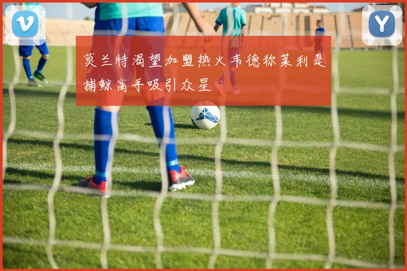 莫兰特渴望加盟热火韦德称莱利是捕鲸高手吸引众星